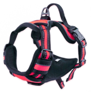 Reflective Harness