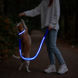 USB Rechargeable Led Dog Leash
