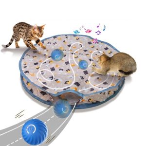Automatic Motion Activated Moving Ball Hide and Seek Mat