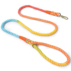 Weave Braided Rainbow Cotton Dog Leash